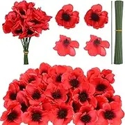 Haishell 60 Set Red Poppy Artificial Flowers Fake Flowers for Remembrance Sunday Poppies Head Fake Wildflowers with Flower Branch for Veterans Day Bouquet Corsages Home Kitchen Decoration (Type2)