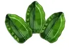 New Melamine Banana Leaf Shape Serving Plates, Green, Set of 3