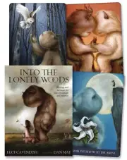 INTO THE WOODS ORACLE KIT Deck Card Book Set tarot divination witch craft wicca