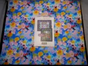 Patchworks Studio Pattern Through My Window w/ Floral Focus Fabric NEW