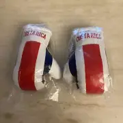 Costa Rica Country Flag Mini Boxing Gloves Pair Keychains
