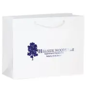 Branded Matte Laminated Euro Tote Bag 13x5x10 Foil Stamped with Logo on 100 Bags