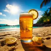 Beer brewing kit - Hazy Beach Summer Beer Kit - 4gal and 2gal - Grains Hops USA