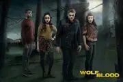 WOLFBLOOD ~ CAST IN WOODS 24x36 TV POSTER Bobby Lockwood Aimee Kelly Wolf Blood
