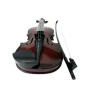 Simulated Violin Practice Violin for Beginners Violin Kit Musical P5C0