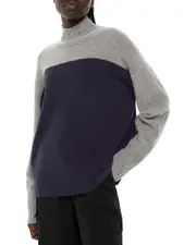 Whistles Wool Color Blocked Turtleneck Sweater