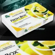 TREE FROG LEMON LIMON NATURAL EXTREME CAR AIR FRESHENER FRESH BOX MINI UNIVERSAL