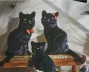 Cynthia Rowley Curious Cat Family (3) NWTs Halloween Black Halloween Decor