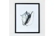 Deborah Hutton Wall Art Conch Shell 45X55cm