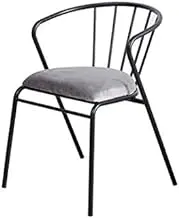 Fashion Living Room Chairs Minimalist Style Single Sofa Chair Leisure Chair Living Room Small Chair (Color : G1) Metal