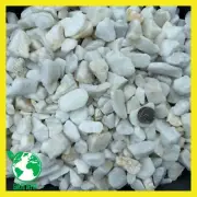 10 Lbs Dolomite Size 0.5" to 1.5", White Rocks Gravel Pebbles Aquarium Terrarium