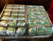 LOT OF 30 NEW KATE SPADE HARD LARGE GREEN CLAMSHELL CASE