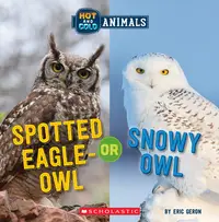 在飛比找誠品線上優惠-Spotted Eagle-Owl or Snowy Owl