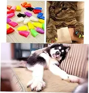 20 Pcs Black Comfortable and Natural Paw Protector for Cats Easy to Use Fashionable Design Prevents Destructive Scratching at Home