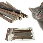 10 Cat Snacks Natural Matatabi Chew Catnip Stick Teeth Brush Toy Cleaning M K7R9