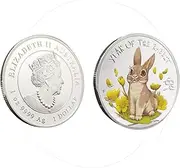 2 Chinese of The Rabbit Coin,2023 Year of The Rabbit Coin,Bunny Collectible Souvenir Coins,Collection Coins 2023