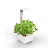Botaneo Eylo Garden - Indoor Garden - Kit with 2 Lingot Automatic LED Lighting