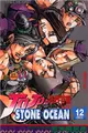 JOJO的奇妙冒險STONE OCEAN（12） (二手書)