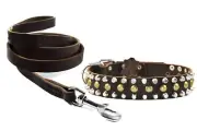 Dean and Tyler Bundle - One "Studly" Collar 26x1.5" With Leash 6 FT Brown