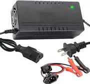 36V/43.8V 5A LiFePO4 Battery Charger for 36V(38.4V 12Strings) Lithium Iron Phosphate Battery,Smart Lithium Battery Charger