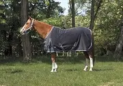 ETH.COTT.Sheet Grey/Blue 7'0 400065170 400065170 Equestrian Equipment, Blue & Gray