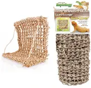 Penn Plax Lizard Loungers Window Hammock