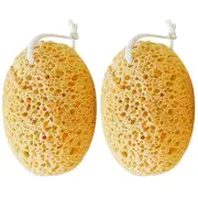 2 Pcs Bath Accessories Exfoliating Scrubber Body Sponges Child Shower