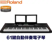 在飛比找蝦皮商城優惠-Roland E-X10 自動伴奏電子琴 61鍵時尚便攜鍵盤