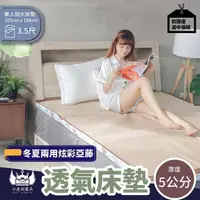 在飛比找momo購物網優惠-【BOSS BEDDING 小老闆寢具】單人3.5尺冬夏亞藤