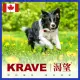加拿大 KRAVE 渴望|成犬配方|全新包裝|全新配方|無穀犬飼料|犬糧|犬食|狗飼料|無穀|狗糧|狗食|翔帥寵物生活館(1999元)