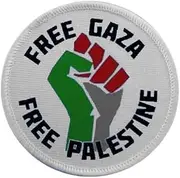 Ysmzzmsy 1 PCS Palestine Flag Patch Embroidery Palestine Flag Tactical Patch Hook and Loop Fastener Backing Emblem (Palestine 1)