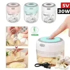 Wireless Electric Garlic Grinder Food Chopper Vegetable Blender Cut Crusher USB