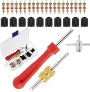 Jindizi 33 PCS Tire Valve Stem Puller Tools Set, Include Tyre Valve Caps Snap-in Valve Stems, Dual & Single Head Core Remover, Valve Cores, 4 Way Valve Tool for Car Vehicle Motorcycle Truck Bicycle