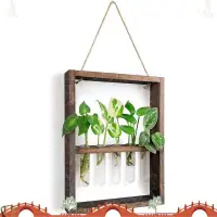 在飛比找蝦皮購物優惠-壁掛式懸掛植物試管花蕾玻璃玻璃容器木框家庭花園婚禮裝飾 qe