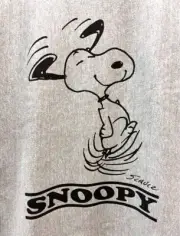 Vintage Peanuts Mens L Houston Peanut Snoopy Reverse Weave Xl Classic Character