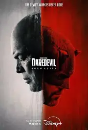 Daredevil Born Again poster (b) - 11" x 17" - Charlie Cox - Daredevil poster