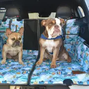 Dog Hammock Back Seat Cover - Byron Surf - Car 2-in-1 System