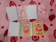 Strawberry Shortcake Tab Journal Notebook NEW !!!