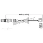 PAT Oxygen/Lambda Sensor Pre-Catalytic Converter/Manifold - EGO-651