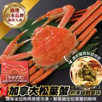 在飛比找蝦皮商城優惠-日本品牌加拿大熟凍松葉蟹(整隻)(每隻350-500g)【海