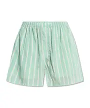 Balenciaga Striped Elastic Waist Shorts FR38 green