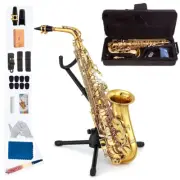 SAX Alto Saxophone Eb E-Flat Saxaphone +Stand Carry Case Mouthpiece for Beginner