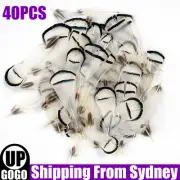 40pcs White Golden Pheasant Plumage Feathers 5-8cm Colour DIY Art Craft AU