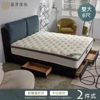 在飛比找PChome24h購物優惠-【藤原傢俬】維多利亞貓抓皮兩件式房間組雙人加大6尺(大靠枕床