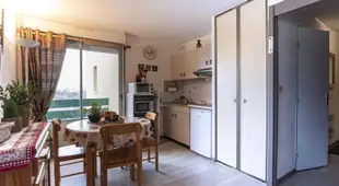 Appartement Saint-Lary-Soulan, 2 pieces, 4 personnes - FR-1-296-228