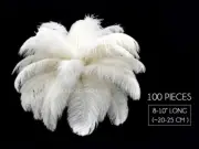100 Pieces - 8-10" Bleached Off White Ostrich Drab Body Wholesale Feathers Bulk