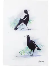 [Maxwell & Williams] Katherine Castle Magpie Bird Life Tea Towel 50x70cm in Mixed Colours