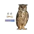UK Fake Owl Decorative Owl Scarecrow Fake Owl Statue Decoy Bird Scarer