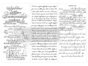 Vintage Script Mastery | Mini Décor Rub On Transfer | Redesign with Prima