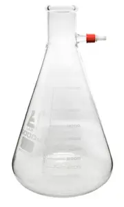 Eisco Labs 5000ml Filtering Conical Flask, Plastic Side Arm - Borosilicate Glass